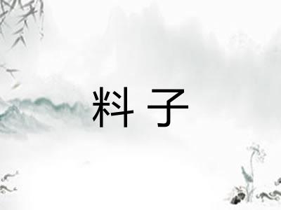 料子