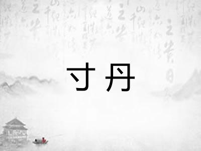 寸丹 寸丹