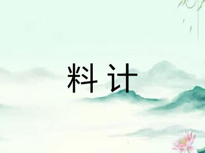 料计