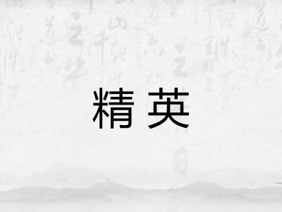 精英 精英