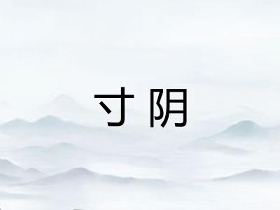 寸阴