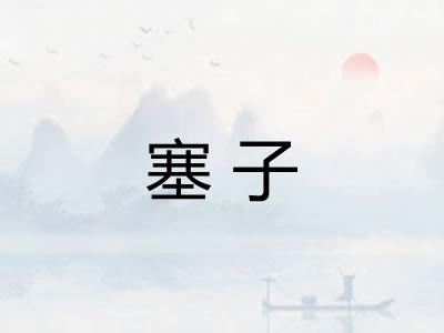 塞子 塞子