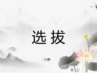 选拔