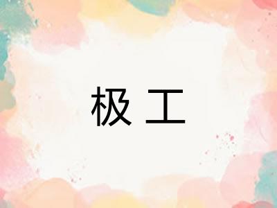 极工