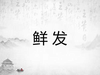 鲜发 鲜发