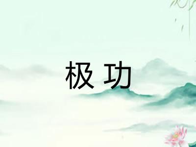 极功