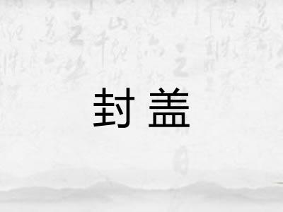封盖 封盖