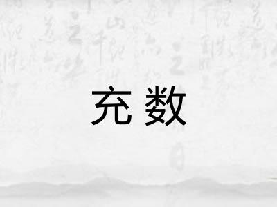 充数