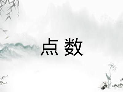 点数 点数