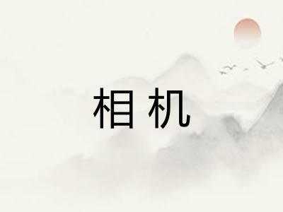 相机
