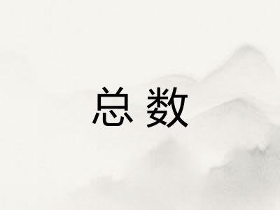 总数
