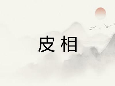 皮相 皮相