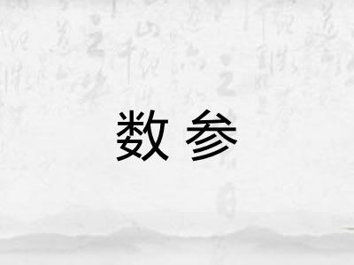 数参