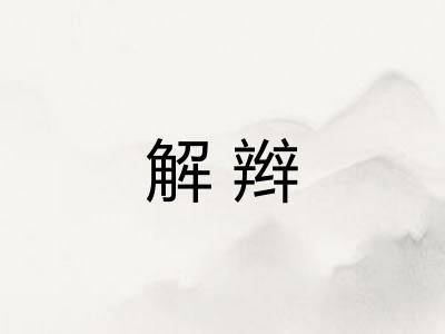 解辫