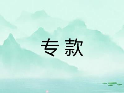 专款 专款