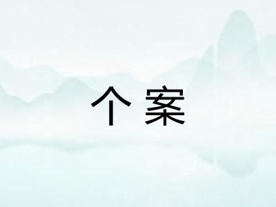 个案