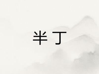 半丁 半丁