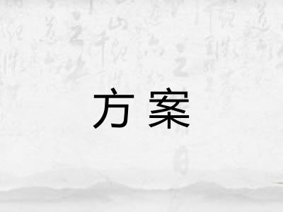方案 方案
