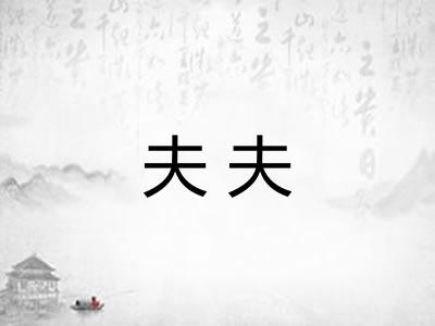 夫夫