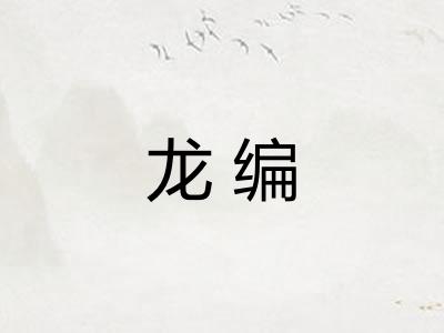 龙编