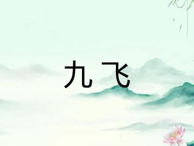 九飞