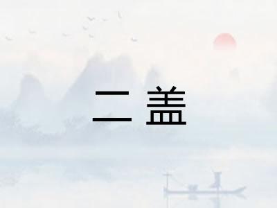二盖 二盖