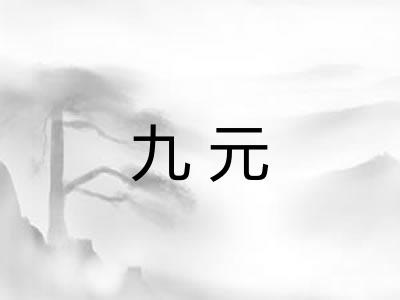 九元