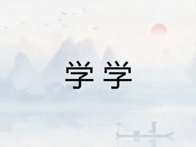 学学