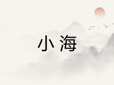 小海