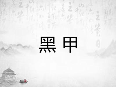 黑甲 黑甲