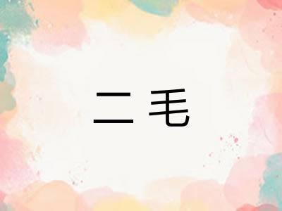 二毛 二毛