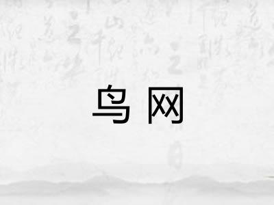 鸟网