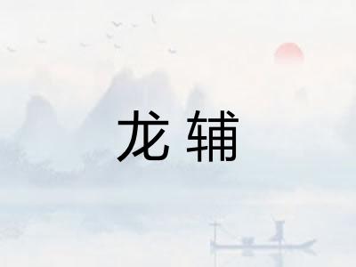 龙辅 龙辅