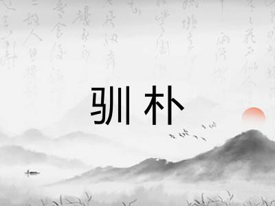 驯朴