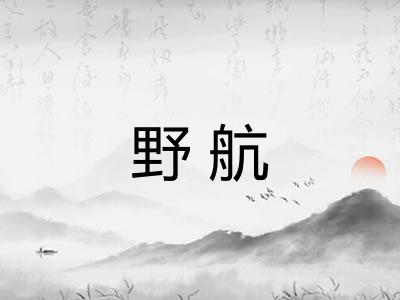 野航