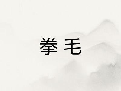 拳毛 拳毛