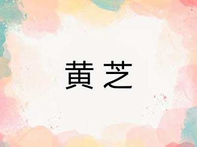 黄芝