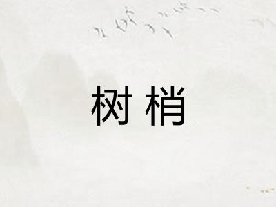 树梢 树梢