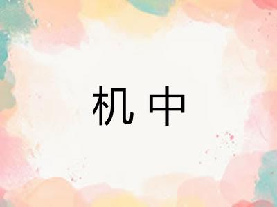 机中