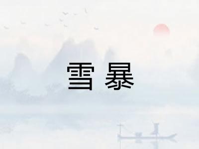 雪暴