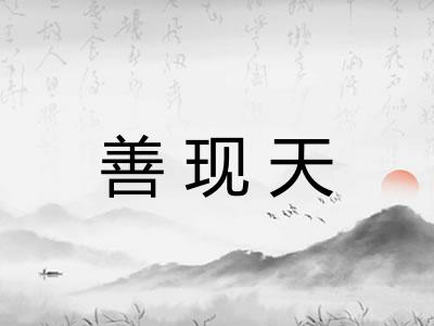 善现天 善现天