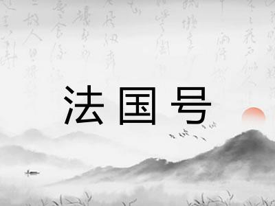 法国号 法国号