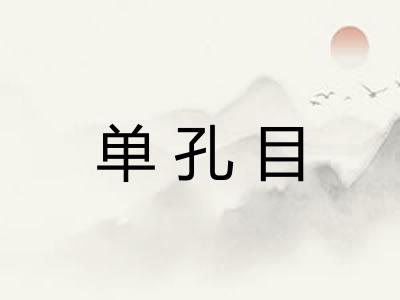 单孔目