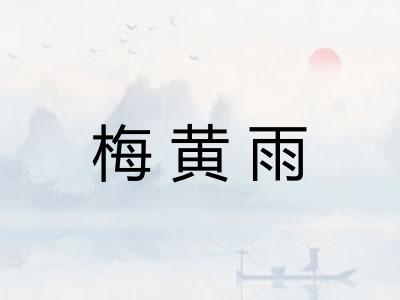 梅黄雨