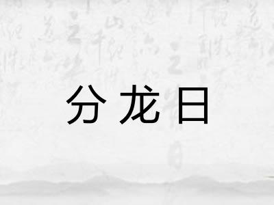 分龙日