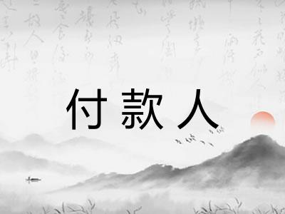 付款人 付款人
