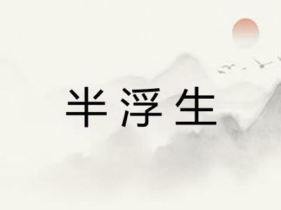 半浮生