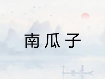 南瓜子 南瓜子