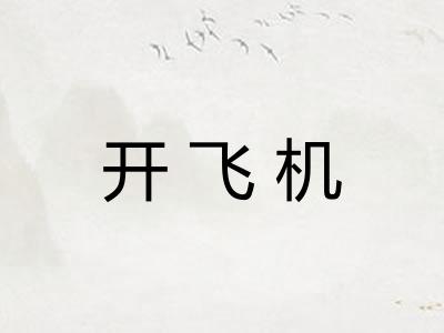 开飞机 开飞机