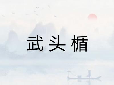 武头楯